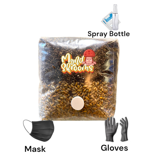 Magic Bag - All in One Mushroom Grow Bag