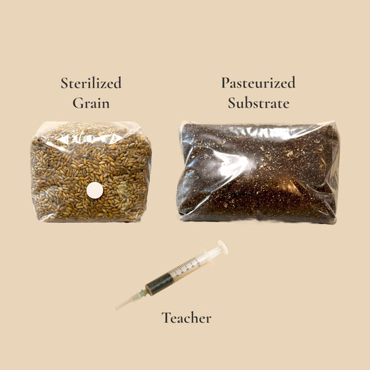 Mini Magic Refill Kit