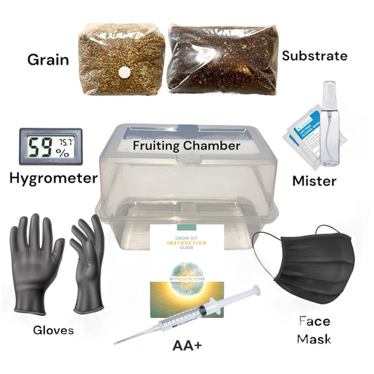 The Mini Magic Kit - Beginners All in One Mushroom Grow Kit